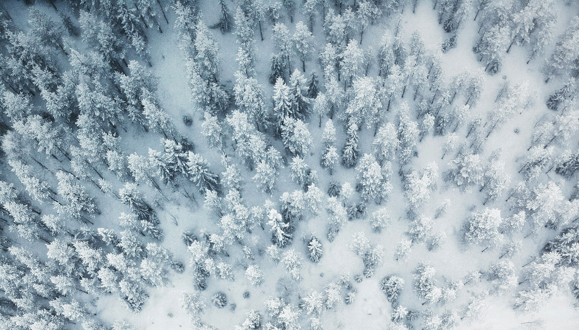 <h1 class="big"><span class="ff-Style small">Collection</span> Altitude</h1><span class="link blanc">D&eacute;couvrir</span>-image