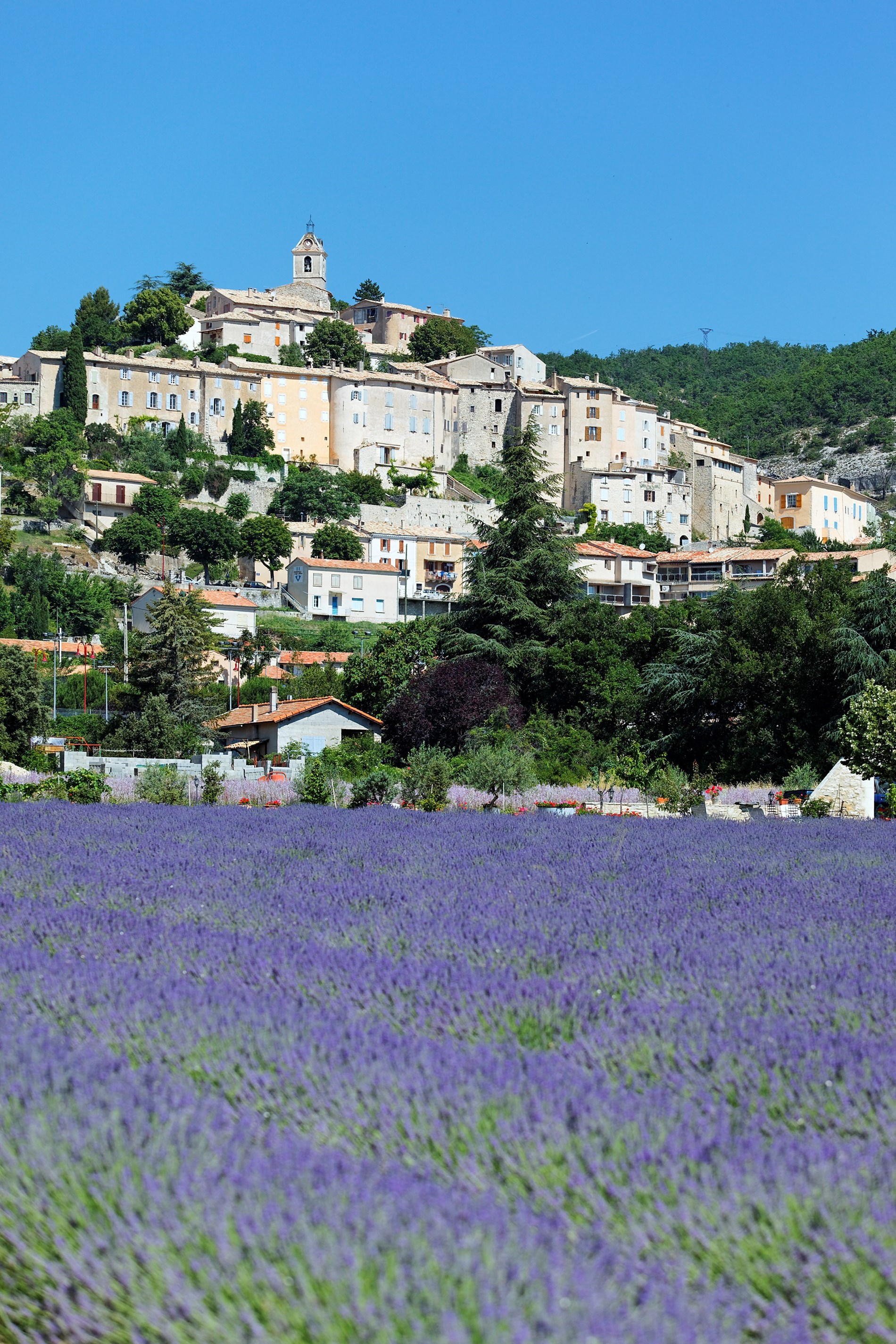 Provence-image